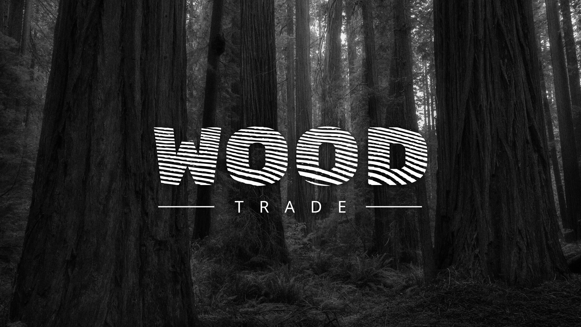 Разработка логотипа для компании «Wood Trade» в 