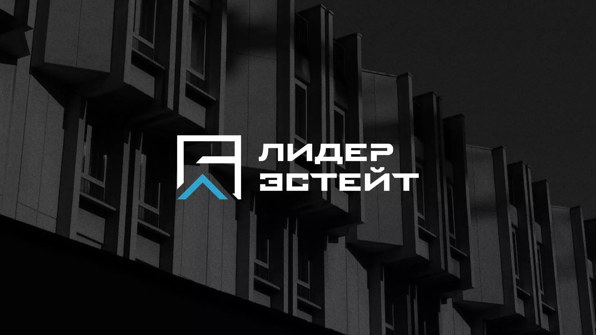 Разработка логотипа агентства недвижимости «Лидер Эстейт» в Макарове